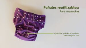 Pañales de tela para perros y mascotas