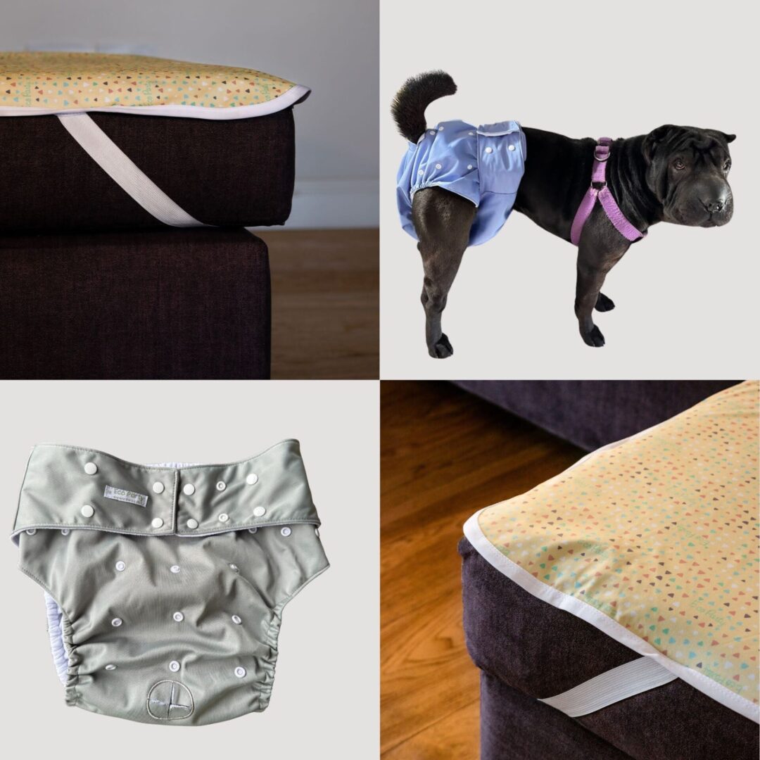 PACK mascotas incontinencia o celo